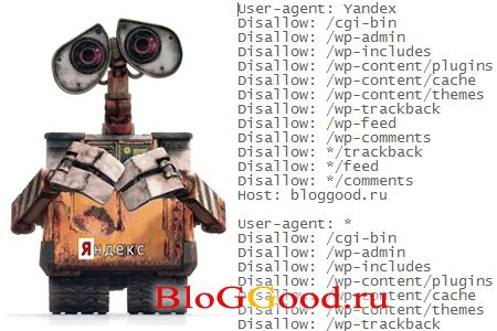 Правильный robots.txt для WordPress Правильный robots.txt для WordPress