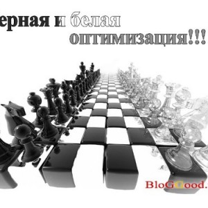 SEO-оптимизация сайта и его виды.