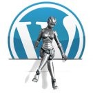Полезные плагины для wordpress. Описание