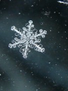 Эффект падающего снега Wordpress