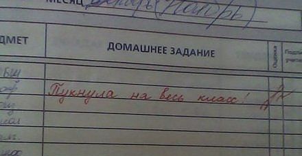 Смешные записи в дневниках.
