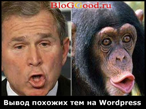 Вывод похожих статей в WordPress без плагинов