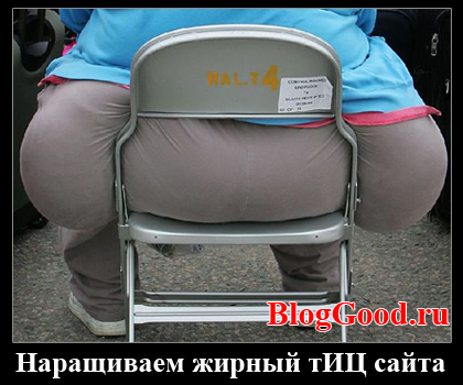 Как проверить ТИЦ и PR сайта