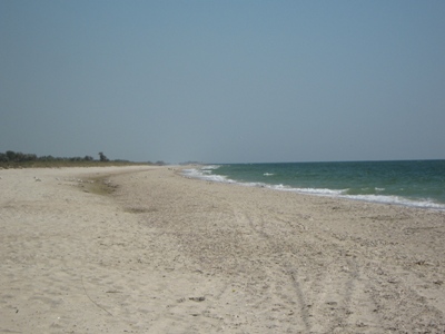 отдых на море в Одессе, Катранка 