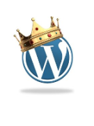 Как вывести название категории (рубрики) в WordPress (вордпресс) на странице?