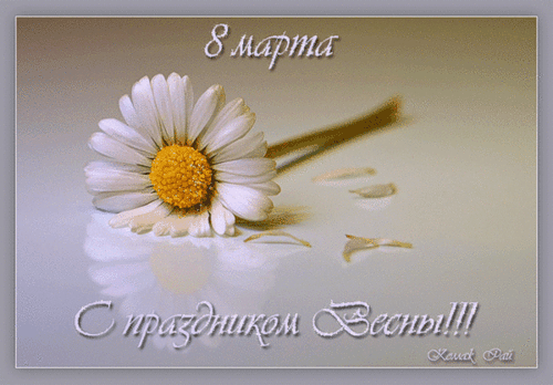 С 8 марта, милые женщины!!! 