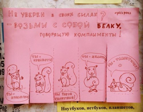 Забавные и веселые объявления от киевской художницы Насти Винокуровой