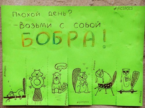 Забавные и веселые объявления от киевской художницы Насти Винокуровой