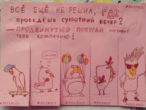 Забавные и веселые объявления от киевской художницы Насти Винокуровой