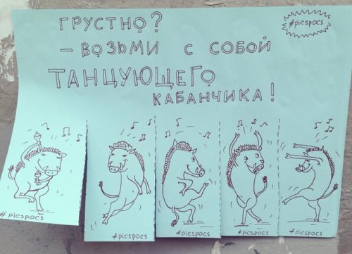 Забавные и веселые объявления от киевской художницы Насти Винокуровой