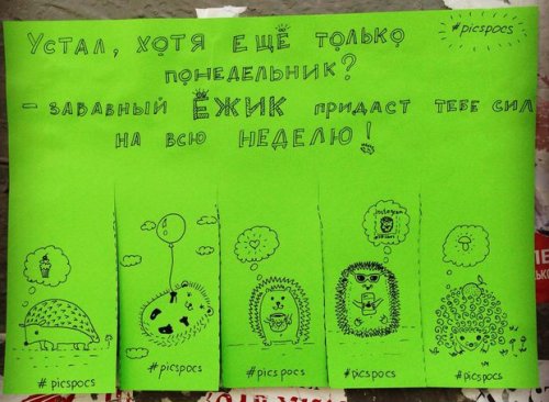 Забавные и веселые объявления от киевской художницы Насти Винокуровой