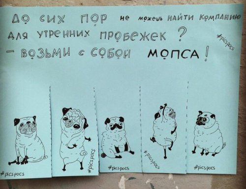 Забавные и веселые объявления от киевской художницы Насти Винокуровой