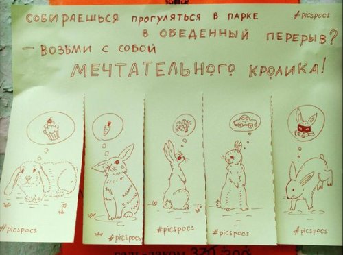 Забавные и веселые объявления от киевской художницы Насти Винокуровой