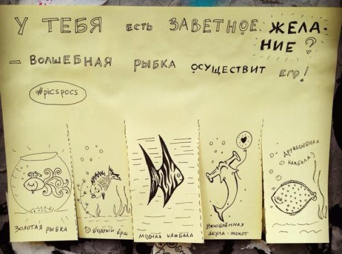 Забавные и веселые объявления от киевской художницы Насти Винокуровой