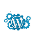 Полезные php функции для WordPress
