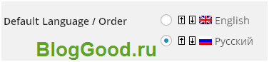 Как сделать сайт многоязычным на WordPress с плагином qtranslate