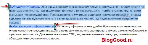 Способности мышки, о которых вы, возможно, и не знаете