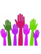 Как сделать опрос или голосование для Wordpress с помощью плагина WP-POLLS