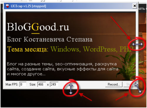 LICEcap – программа для захвата экрана в gif