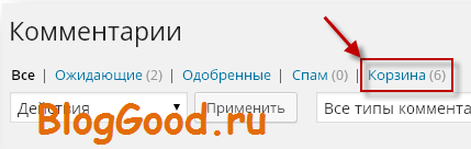 Как автоматически очистить корзину на WordPress