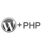 Как вставить php-код в Wordpress на страницу или запись