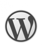 Как создать дополнительные поля на WordPress для статей и страниц