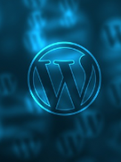 Как вывести последние записи из определенной категории на WordPress