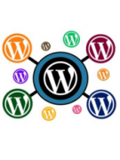 Добавляем дополнительные поля в профиль пользователя WordPress