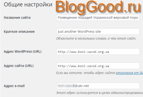 Как вывести из пункта «Настройки» «Общие настройки» для WordPress