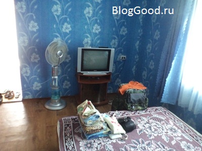 Как мы отдыхали на Арабатской стрелке