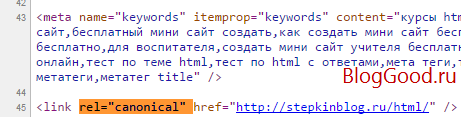 Как убрать «rel="canonical"» в WordPress для плагина «SEO by Yoast»