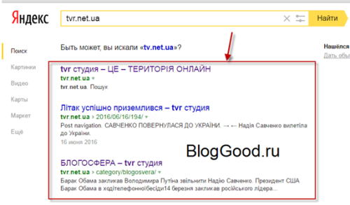 Владелец сайта предпочел скрыть описание страницы WordPress