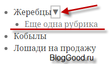 Раздвижное меню категорий (рубрик) WordPress