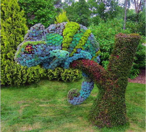 Топиарное искусство - фото