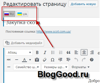 Плагин для мультиязычности сайта wordpress – «qTranslate-X»