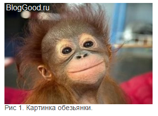 Как сделать подпись под картинкой в HTML5
