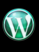Как в wordpress получить ссылку на миниатюру