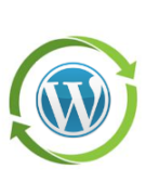 Как включить автоматическое обновление WordPress, плагинов, тем и переводов