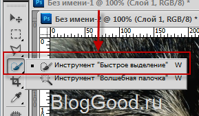 Как сделать кошачьи глаза в фотошопе