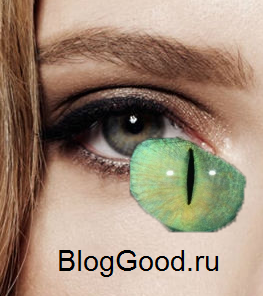 Как сделать кошачьи глаза в фотошопе
