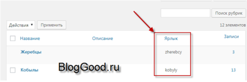 Поиск в определённой рубрике (параметр category_name )