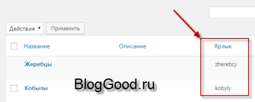 Поиск в определённой метке (параметр tag )